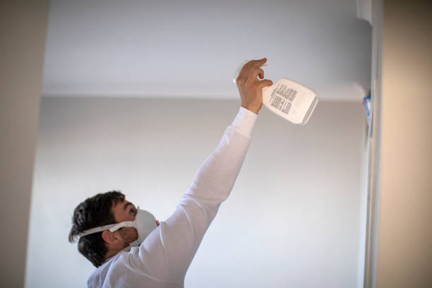 Best Emergency Mold Remediation in Farmer City, IL